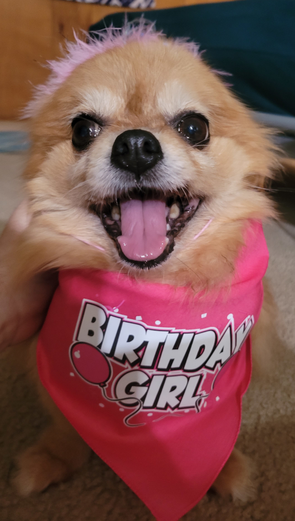 The Original Birthday Girl