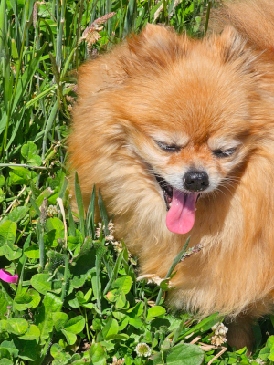 It is hard looking this good