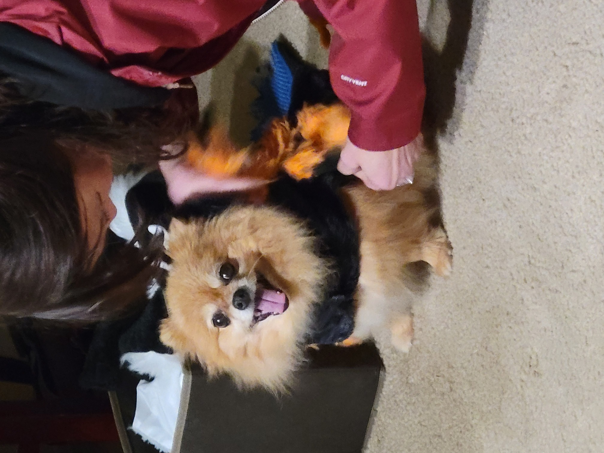 It takes a certain dedication