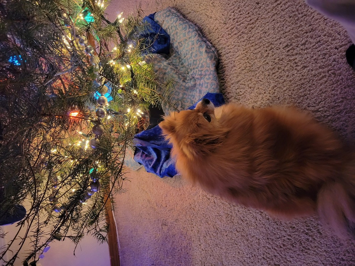 Patience, gifts arriving soon