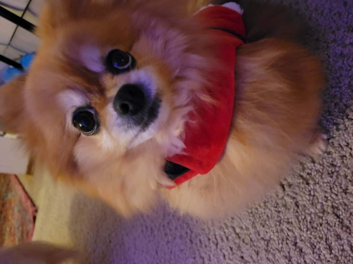 I am making my rounds